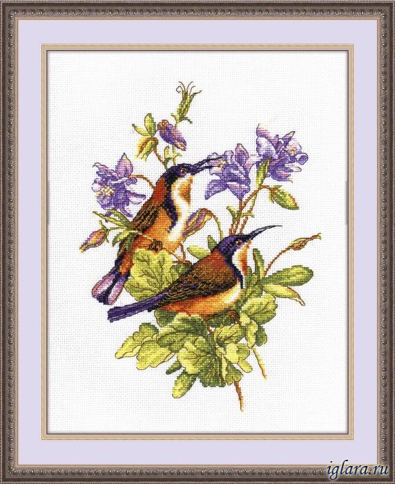 Идеи на тему «Колибри и фуксии» (11) | колибри, вышивание крестиком, вышитые крестиком цветы